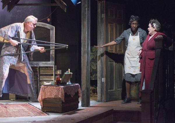 Photo Flash: First Look at Raven Theatre's VIEUX CARRE 