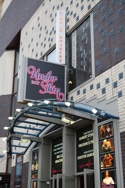 Photo Coverage: UNDER MY SKIN Takes Opening Night Bows Image