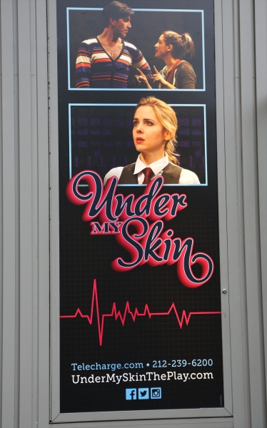 Photo Coverage: UNDER MY SKIN Takes Opening Night Bows Image