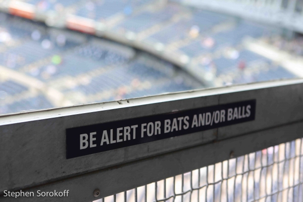 Photo Coverage: Inside Yankee Stadium from the 'Bosses' Box Image