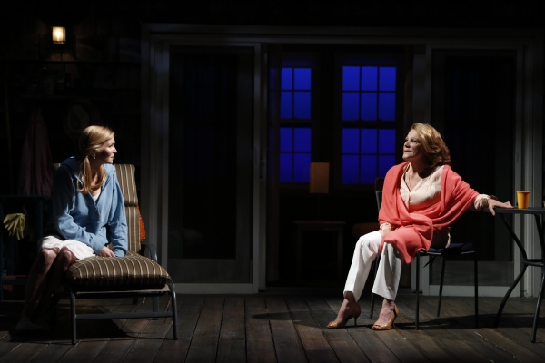 Photo Flash: First Look at Linda Lavin & More in Vineyard's TOO MUCH SUN Image