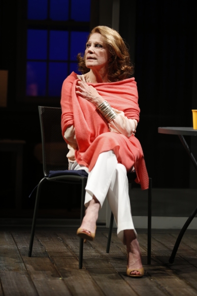 Photo Flash: First Look at Linda Lavin & More in Vineyard's TOO MUCH SUN Image