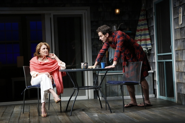 Photo Flash: First Look at Linda Lavin & More in Vineyard's TOO MUCH SUN Image