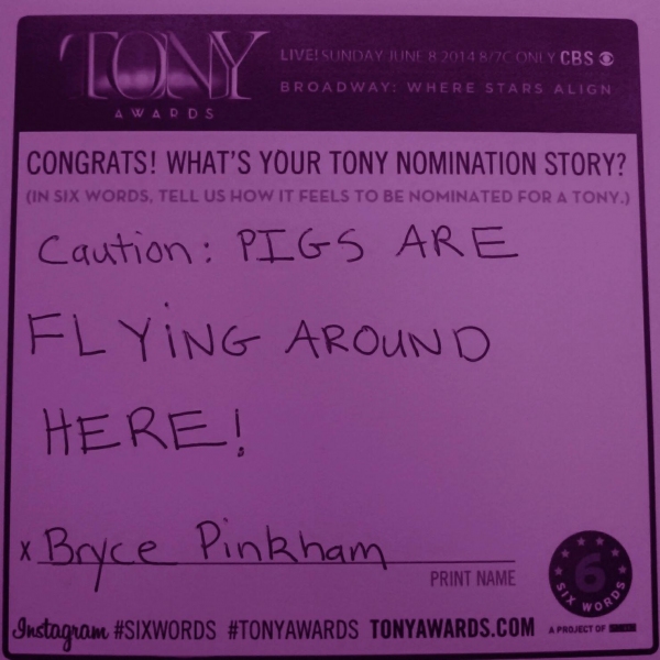 Photo Flash: Six-Word Memoirs from the 2014 Tony Noms Image