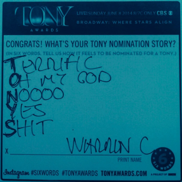 Photo Flash: Six-Word Memoirs from the 2014 Tony Noms Image