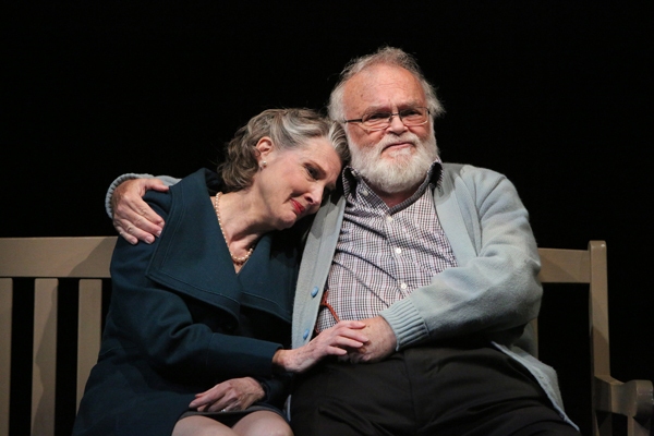 Photo Flash: Annette O'Toole Stars in Two River Theater's THIRD, Directed by Michael Cumpsty, Opening Tonight Image