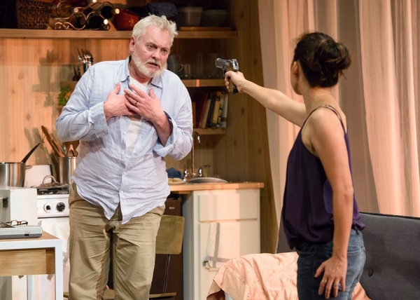 Photo Flash: First Look at Sandra Oh and More in DEATH AND THE MAIDEN at Chicago's Victory Gardens Theater  Image