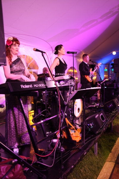 Photo Flash: 2014 Mayor's Charity Ball Raises Funds and Awareness Image