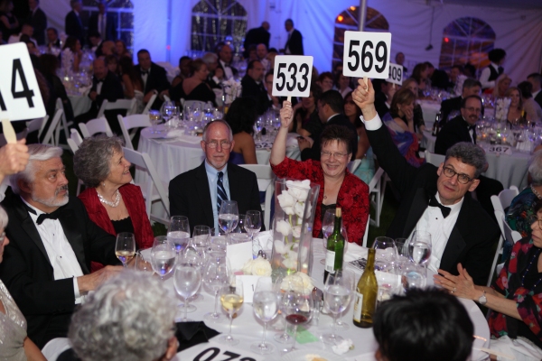 Photo Flash: 2014 Mayor's Charity Ball Raises Funds and Awareness Image