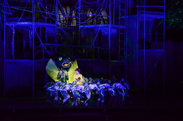 Photo Flash: First Look at Nicholas Rodriguez, Kate Rockwell, Quentin Earl Darrington & More in TARZAN at the Muny! Image