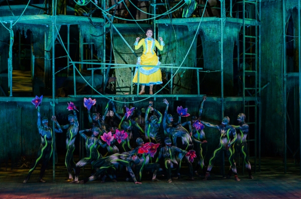 Photo Flash: First Look at Nicholas Rodriguez, Kate Rockwell, Quentin Earl Darrington & More in TARZAN at the Muny! 