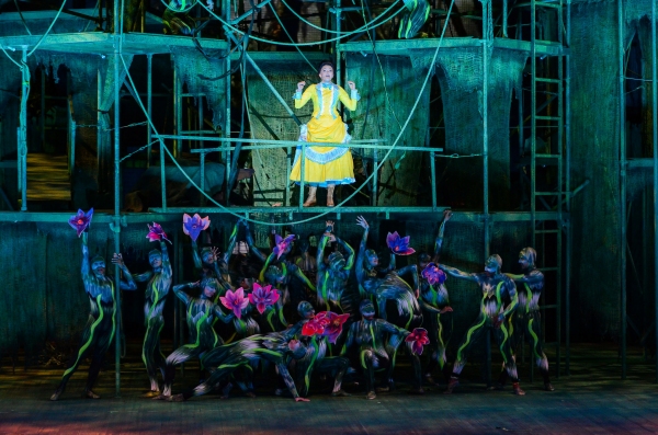 Photo Flash: First Look at Nicholas Rodriguez, Kate Rockwell, Quentin Earl Darrington & More in TARZAN at the Muny! Image