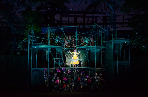 Photo Flash: First Look at Nicholas Rodriguez, Kate Rockwell, Quentin Earl Darrington & More in TARZAN at the Muny! Image