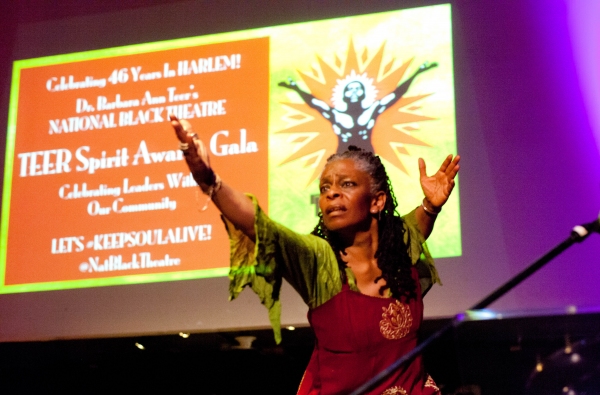 Photo Flash: National Black Theatre Celebrates 2014 Spirit Awards Gala 