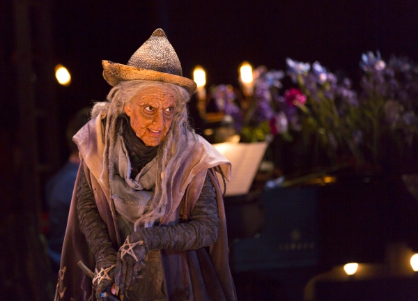 Photo Flash: First Look at the Oregon Shakespeare Festival's INTO THE WOODS Image