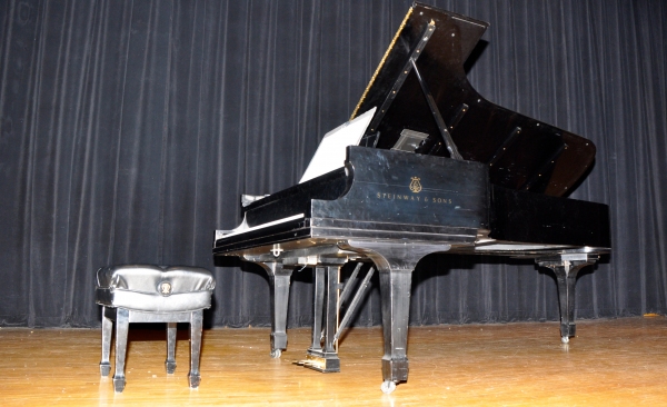 Photo Coverage: First Look at Hershey Felder in MAESTRO BERNSTEIN Image