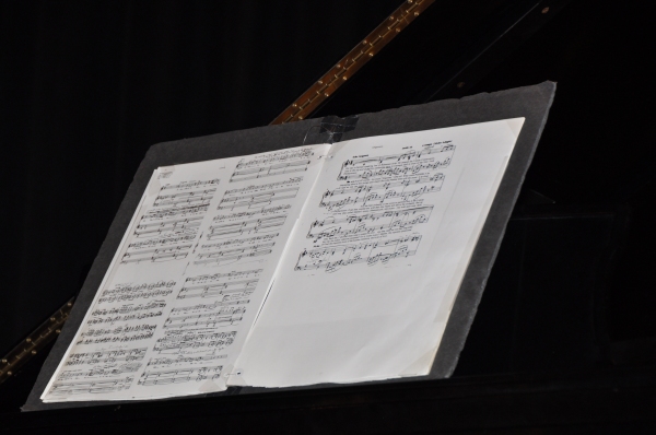 Photo Coverage: First Look at Hershey Felder in MAESTRO BERNSTEIN Image