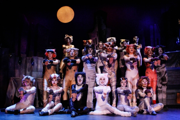 Photo Flash: First Look at BroadHollow Theatre's CATS Image