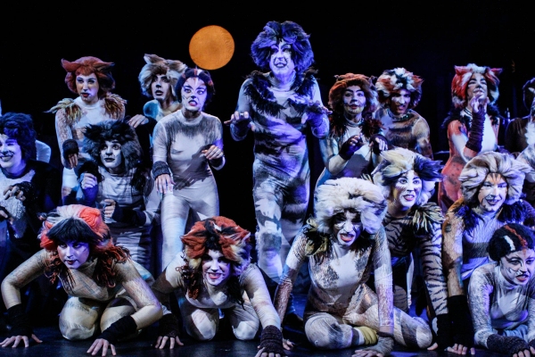 Photo Flash: First Look at BroadHollow Theatre's CATS Image