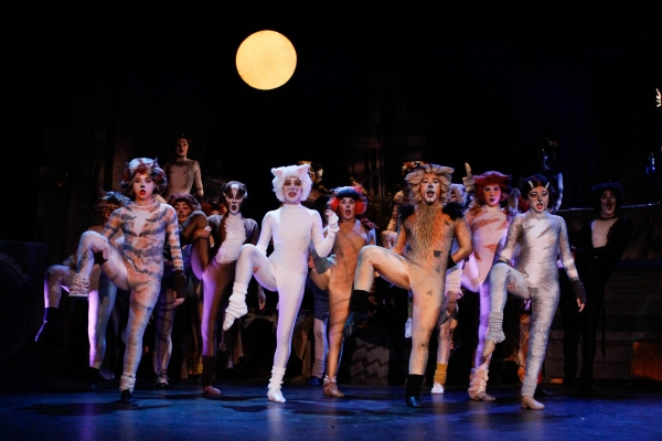 Photo Flash: First Look at BroadHollow Theatre's CATS Image