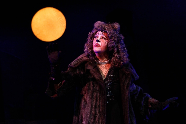 Photo Flash: First Look at BroadHollow Theatre's CATS Image