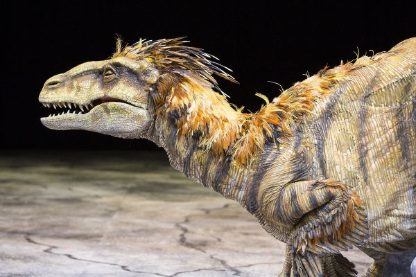 Photo Flash: WALKING WITH DINOSAURS Struts the Catwalk with 'Dinosaur Feathered Fashion Show' Image