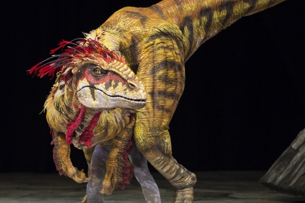 Photo Flash: WALKING WITH DINOSAURS Struts the Catwalk with 'Dinosaur Feathered Fashion Show' Image