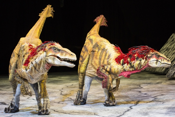 Photo Flash: WALKING WITH DINOSAURS Struts the Catwalk with 'Dinosaur Feathered Fashion Show' Image