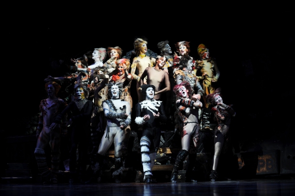 Photo Flash: Sneak Peek of Elizabeth Stanley & More in Pittsburgh CLO's CATS! Image