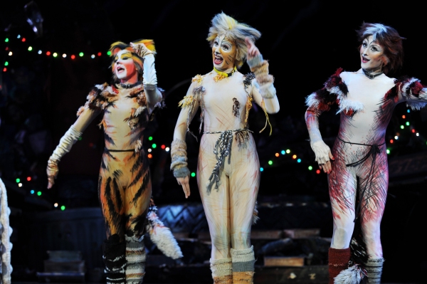 Photo Flash: Sneak Peek of Elizabeth Stanley & More in Pittsburgh CLO's CATS! Image