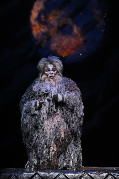Photo Flash: Sneak Peek of Elizabeth Stanley & More in Pittsburgh CLO's CATS! Image