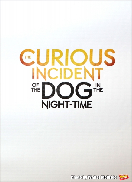 Photo Coverage: Meet the Company of Broadway's THE CURIOUS INCIDENT OF THE DOG IN THE NIGHT-TIME Image