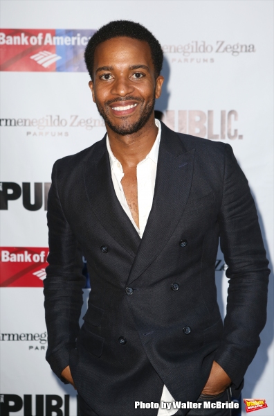 Photo Coverage: On the Red Carpet for Opening Night of KING LEAR! Image