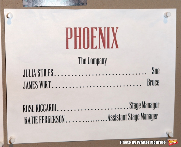 Photo Coverage: Julia Stiles and James Wirt Take First Bows in PHOENIX at Cherry Lane Theatre Image