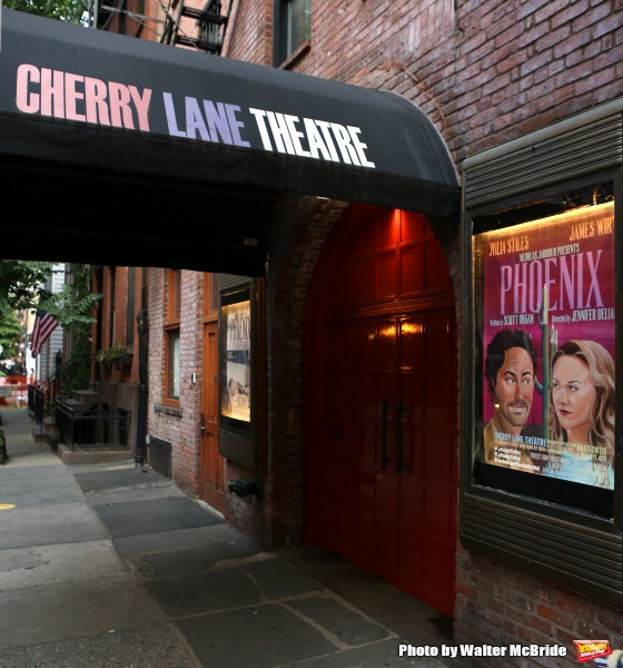Photo Coverage: On the Red Carpet for Opening Night of PHOENIX Image