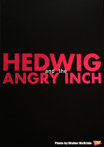 Photo Coverage: Andrew Rannells Meets the Press Alongside HEDWIG Cast & Creative Team! Image