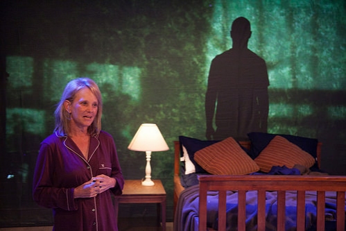 Photo Flash: First Look at Halcyon's WAR ZONE IS MY BED Image