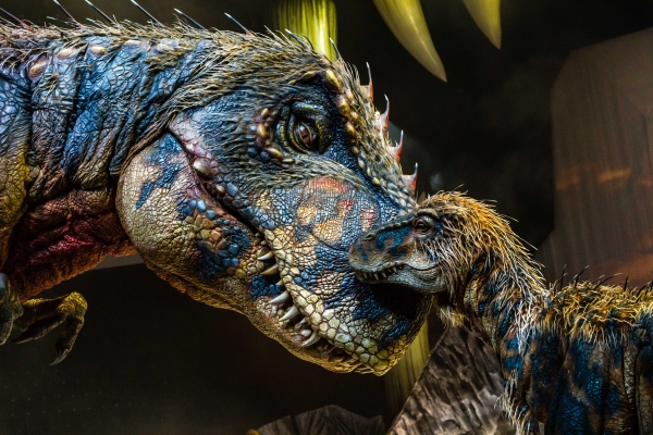 Photo Flash: First Look at Feathered Beasts in WALKING WITH DINOSAURS Arena Show Image