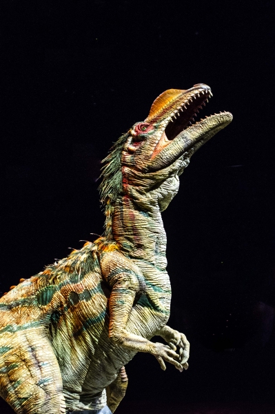 Photo Flash: First Look at Feathered Beasts in WALKING WITH DINOSAURS Arena Show Image