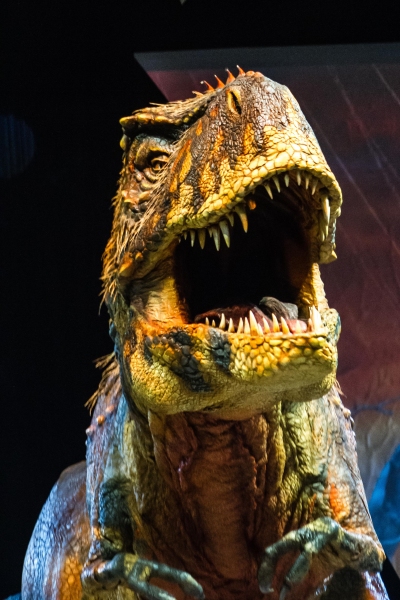 Photo Flash: First Look at Feathered Beasts in WALKING WITH DINOSAURS Arena Show 