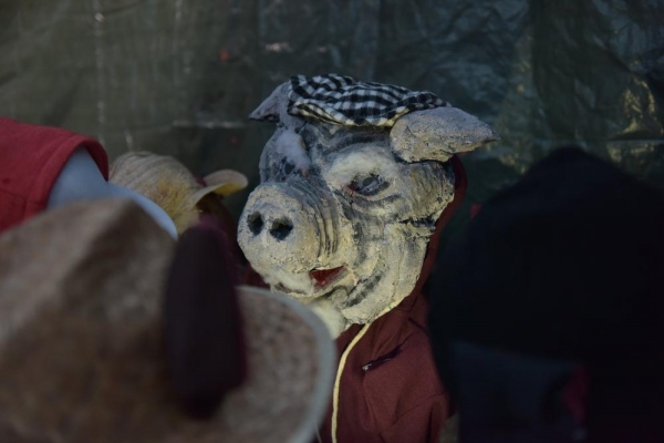 Photo Flash: Sneak Peek at Community Links' REVOLUTION FARM, Playing at Newham City Farm Image