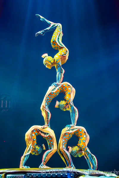 Photo Flash: Exclusive Photos from Cirque du Soleil's 'KURIOS' Image
