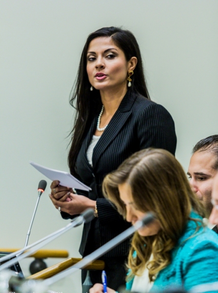 Photo Flash: THEY CALL ME Q's Qurrat Ann Kadwani Moderates Panel at United Nations Image