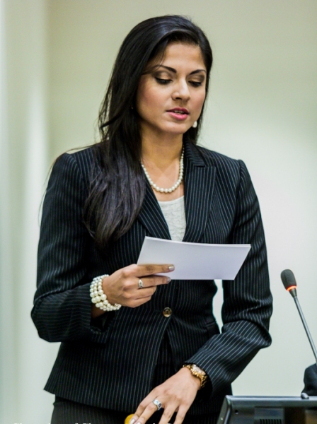 Photo Flash: THEY CALL ME Q's Qurrat Ann Kadwani Moderates Panel at United Nations Image