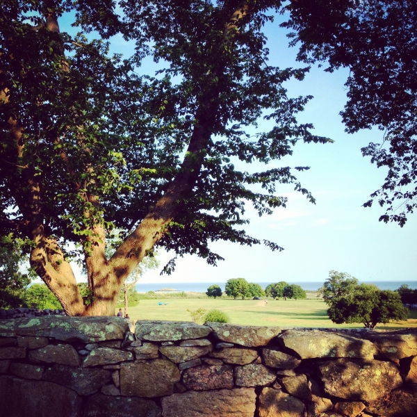 BWW Exclusive: Introducing The National Theater Institute's Complete Theater Training  Image