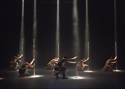 Photo Flash: SOUTH AFRICAN DANCE FESTIVAL October -November Image
