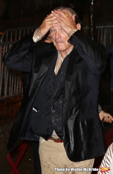 Photo Coverage: On the TIFF Red Carpet for ST. VINCENT Image