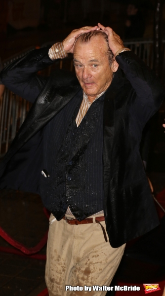 Photo Coverage: On the TIFF Red Carpet for ST. VINCENT Image
