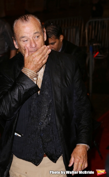 Photo Coverage: On the TIFF Red Carpet for ST. VINCENT Image