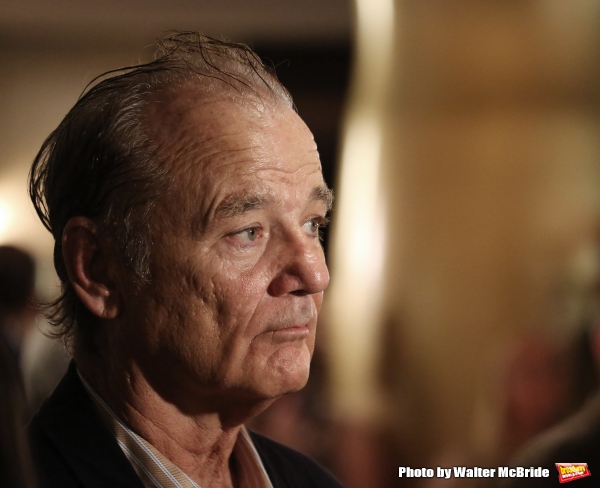Photo Coverage: On the TIFF Red Carpet for ST. VINCENT Image
